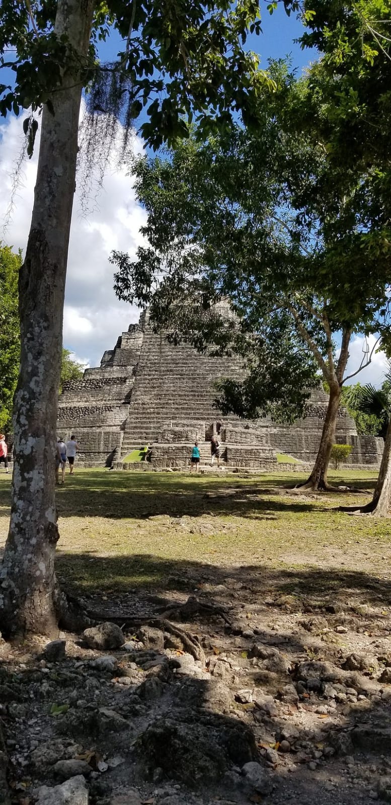 Pirámide de Chacchoben entre la selva de Quintana Roo