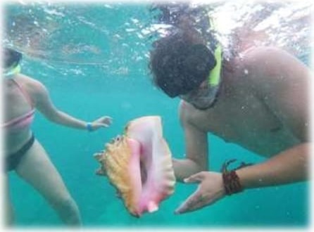 Guía mostrando un caracol rosado durante el Snorkel